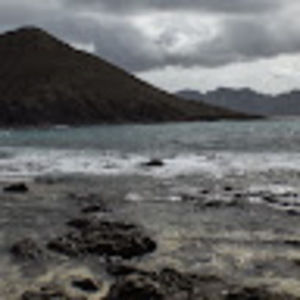 Meet your Posher, Craig